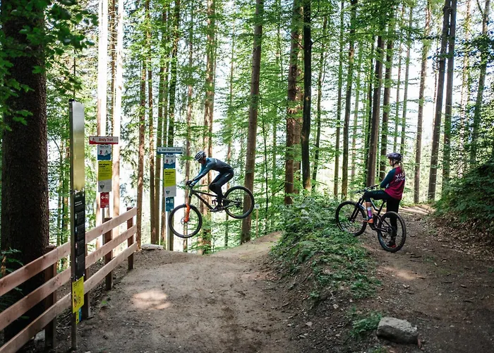 Apartament Penthouse 1511 Gerlitzen - In -ski Out!