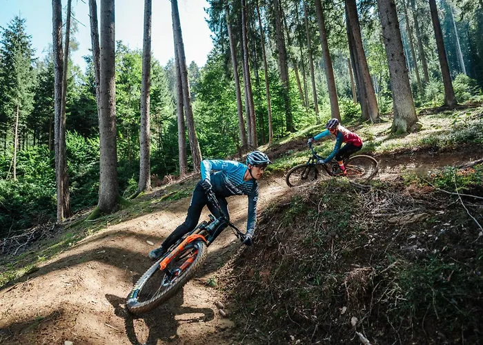 Penthouse 1511 Gerlitzen - In -ski Out!